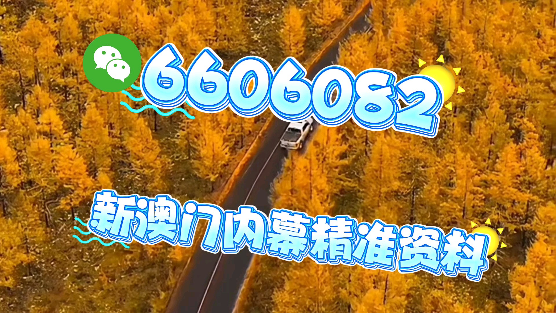 新澳門一肖一碼中恃馬，探索與解析，澳門一肖一碼中恃馬，探索與解析