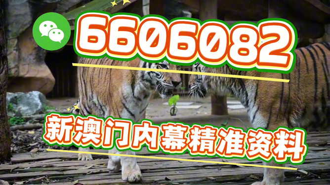 澳門今晚必開一肖一特，深度解析與預測，澳門今晚生肖特碼深度解析與預測，一肖一特必開趨勢探討