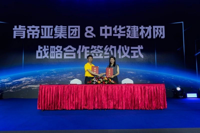 中國(guó)戰(zhàn)略網(wǎng)官網(wǎng)SEO文章，中國(guó)戰(zhàn)略網(wǎng)官網(wǎng)SEO策略與技巧詳解