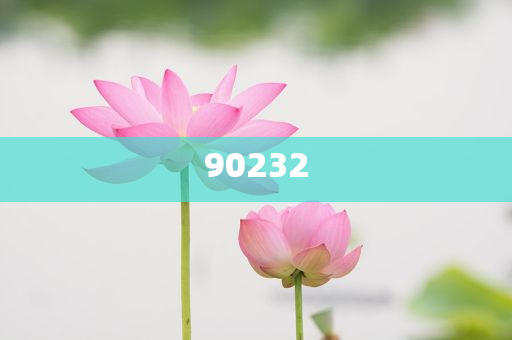 揭秘2025新澳天天開好彩大全第78期精彩瞬間，掌握彩票秘籍！，揭秘第78期新澳天天開好彩精彩瞬間，彩票秘籍大揭秘！