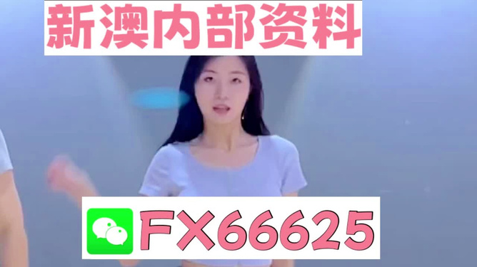 新澳門精準資料大全——管家婆料解析與探索，澳門精準資料大全，管家婆料解析與深度探索