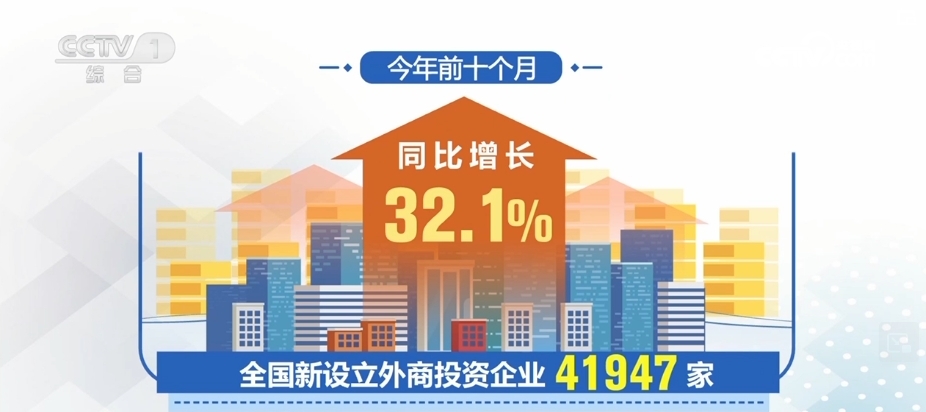 新澳一碼一肖一特預(yù)測——揭秘2025年生肖彩票的奧秘，揭秘生肖彩票奧秘，新澳一碼一肖一特預(yù)測2025年彩票趨勢分析