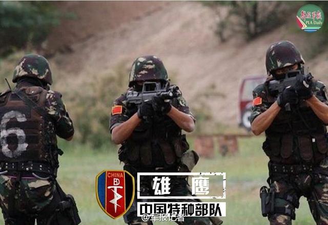 中國(guó)七大特種部隊(duì)，神秘的力量與卓越的能力，中國(guó)七大特種部隊(duì)，神秘力量與超凡能力的展現(xiàn)