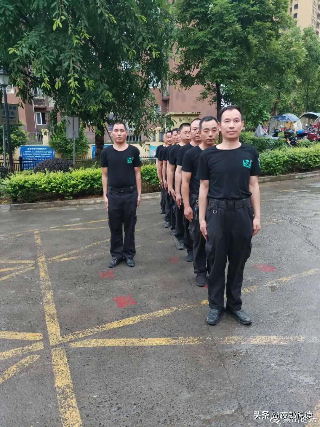 關于尋找一肖二碼中特站的探討，一肖二碼中特站的深度探討與尋找之路