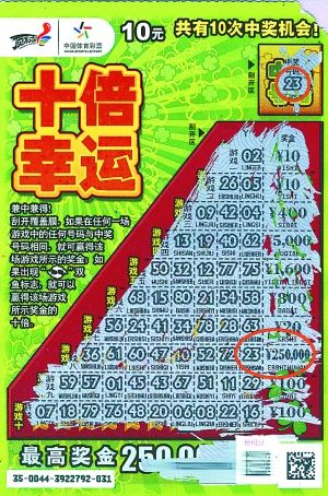 王中王平特一肖好彩頭——揭秘好運(yùn)背后的秘密，揭秘好運(yùn)背后的秘密，王中王平特一肖好彩頭解析