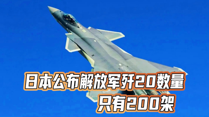 關(guān)于日本公布?xì)?20數(shù)量的探討，日本公布?xì)?20數(shù)量的深度探討