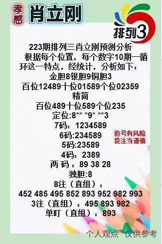 王中王三肖一碼資料，深度解析與SEO優(yōu)化策略，王中王三肖一碼資料深度解析與SEO優(yōu)化策略全攻略