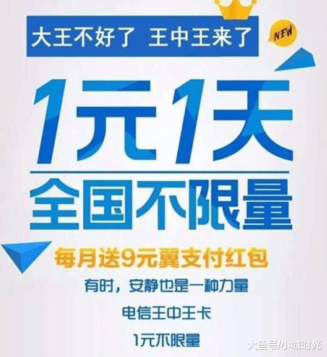 王中王新四不像一肖，揭秘背后的神秘面紗與SEO策略洞察，揭秘王中王新四不像一肖背后的神秘面紗與SEO策略洞察