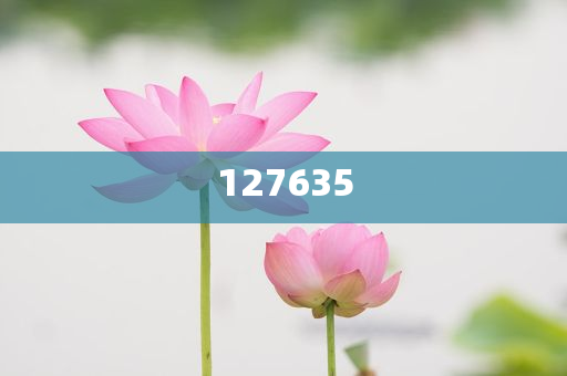 揭秘7777788888精準(zhǔn)新傳真，一切你所需要知道的，揭秘精準(zhǔn)新傳真，你所需要知道的關(guān)于77777與88888的一切秘密
