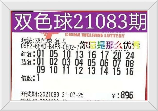香港今晚開獎結果號碼，探索彩票背后的秘密，香港彩票開獎結果揭秘，探索彩票背后的神秘面紗