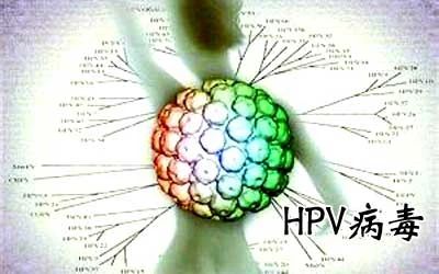 HPV病毒能否徹底清除？深度解析與應(yīng)對(duì)策略，深度解析HPV病毒能否徹底清除，應(yīng)對(duì)策略及應(yīng)對(duì)方法