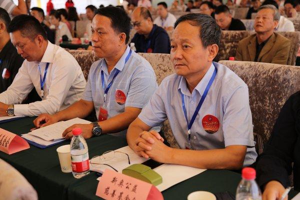 新奧精準(zhǔn)選免費(fèi)提供，探索最佳選擇與無限可能，新奧精準(zhǔn)選，免費(fèi)探索最佳選擇與無限可能
