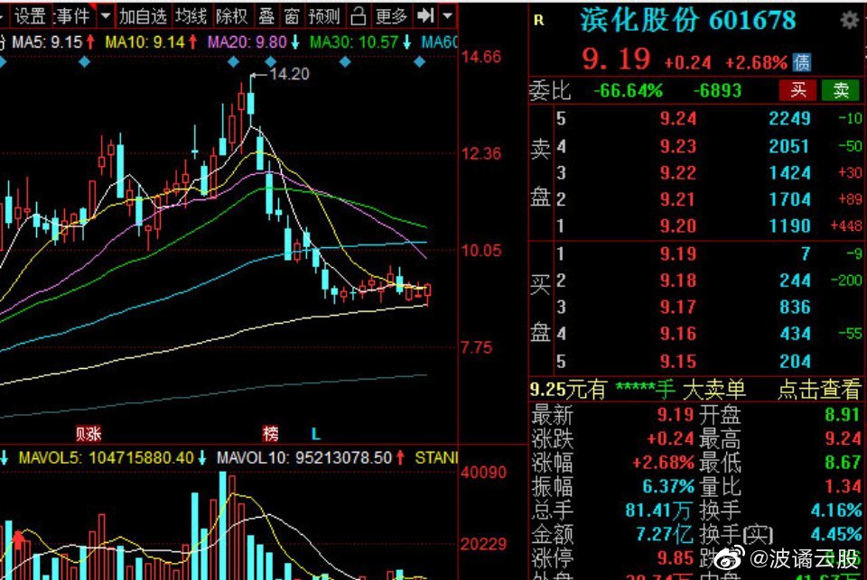 濱化股份股票，深度解析與前景展望，濱化股份股票深度解析及前景展望