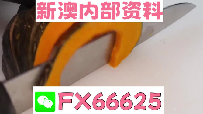 澳門管家婆，揭秘精準預測的秘密武器，澳門管家婆揭秘，精準預測的秘密武器全解析