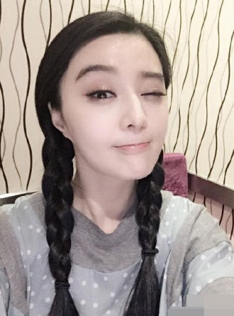 范冰冰個人資料簡介及影響力探討，范冰冰個人資料簡介與影響力深度探討