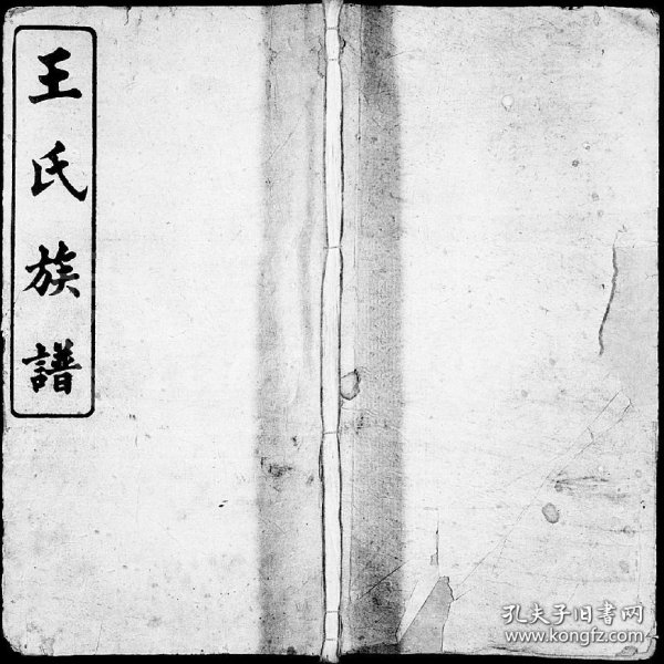 小魚兒一肖王中王興典，探索背后的故事與奧秘，小魚兒一肖王中王興典，背后的故事與奧秘揭秘
