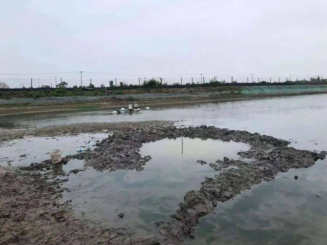 澳門六局中局開獎(jiǎng)結(jié)果查詢，輕松掌握最新開獎(jiǎng)動(dòng)態(tài)，澳門六局最新開獎(jiǎng)結(jié)果實(shí)時(shí)查詢，輕松掌握最新動(dòng)態(tài)
