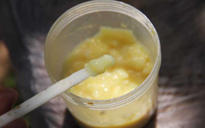 蜂王漿，功效、作用及食用方法詳解，蜂王漿，功效、作用及食用方法全面解析