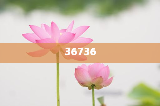 揭秘7777788888精準新傳真，真相大揭秘，揭秘精準新傳真背后的真相，77777與88888的神秘面紗被揭開