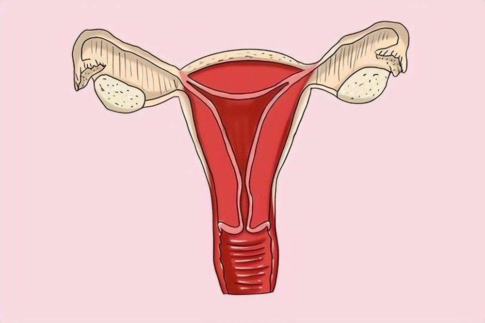 上環(huán)的最佳時(shí)間，全面解析與指導(dǎo)，上環(huán)最佳時(shí)間解析與指導(dǎo)手冊