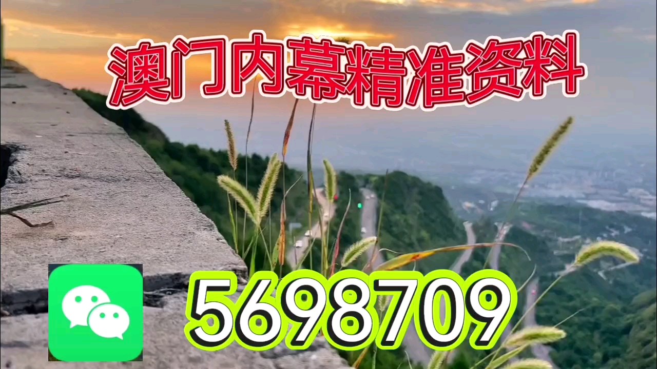 新澳天天開彩資料大全，探索彩票世界的奧秘，探索彩票世界奧秘，新澳天天開彩資料大全