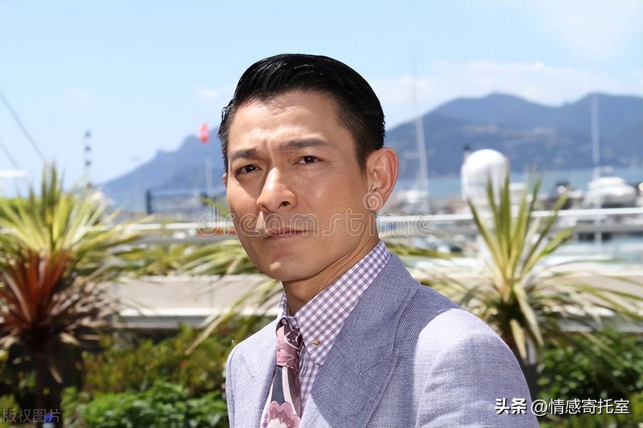 香港一碼一肖王中王，揭秘背后的秘密與真相，揭秘香港一碼一肖王中王的秘密與真相