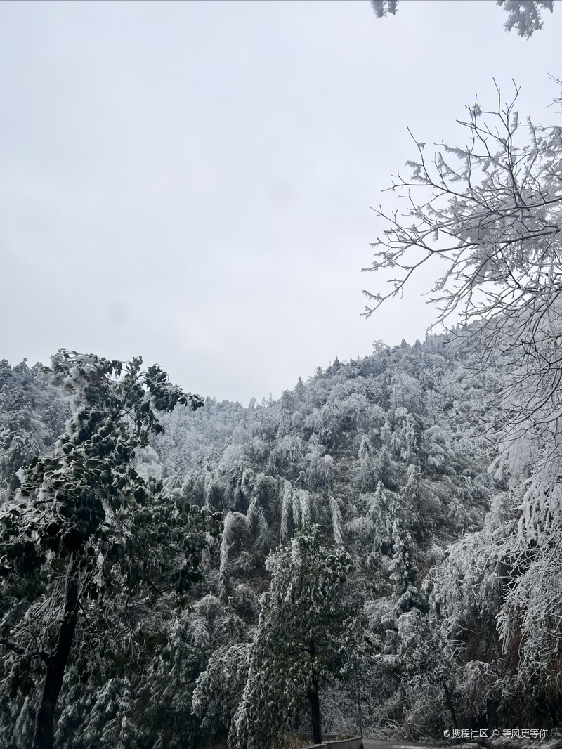 雪峰山國家森林公園，自然之美的瑰寶，雪峰山國家森林公園，自然之美的璀璨瑰寶