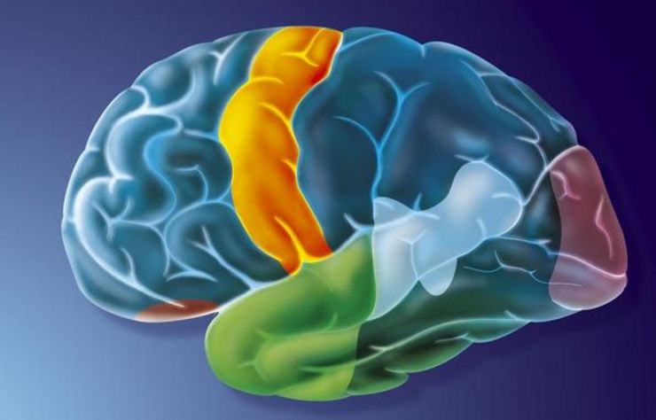 腦神經(jīng)衰弱最好的治療方法，全面解析與個性化護理方案，腦神經(jīng)衰弱最佳治療法，全面解析與個性化護理策略