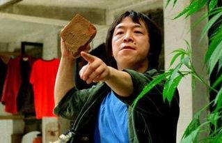 王中王丑中王解一肖，探尋背后的故事與奧秘，探尋王中王丑中王解一肖背后的故事與奧秘