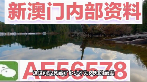 揭秘澳門精準四不像，預測未來的趨勢與探索（2025展望），澳門精準四不像揭秘，未來趨勢展望與探索（2025年預測）