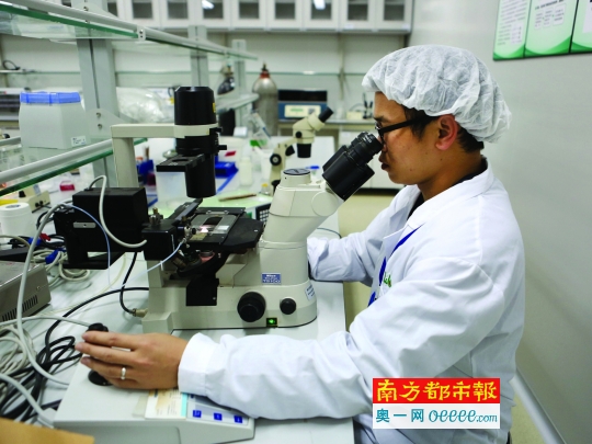 關(guān)于結(jié)扎的SEO文章，結(jié)扎手術(shù)詳解，知識(shí)、優(yōu)勢(shì)與注意事項(xiàng)