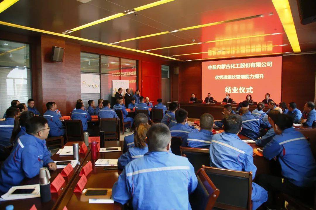 中鹽內(nèi)蒙古化工股票，投資前景深度解析，中鹽內(nèi)蒙古化工股票投資前景深度剖析