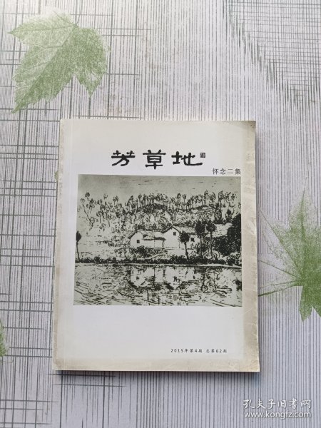 最新更新內(nèi)容深度解析