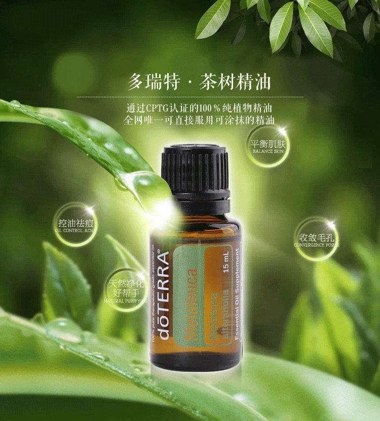 茶樹精油的功效與作用，深入了解茶樹精油的多元價(jià)值，茶樹精油多元價(jià)值揭秘，功效與作用詳解