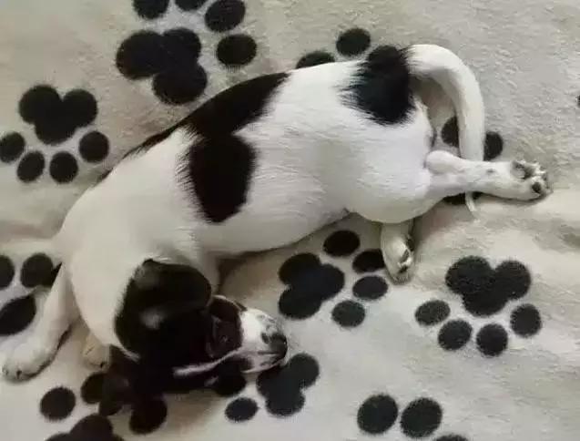 近視眼可以當(dāng)兵嗎？全面解析近視與軍隊(duì)生涯的關(guān)聯(lián)，近視與軍隊(duì)生涯，能否參軍？全面解析關(guān)聯(lián)之謎。