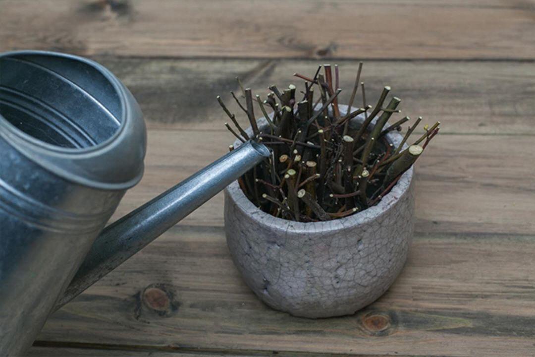 青春痘怎么治，全面解析有效的預防與治療方法，全面解析青春痘預防與治療方法，專業(yè)有效的治療策略