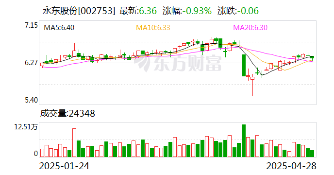 永東股份，引領(lǐng)行業(yè)前沿，塑造卓越未來，永東股份，引領(lǐng)行業(yè)先鋒，塑造卓越未來之路