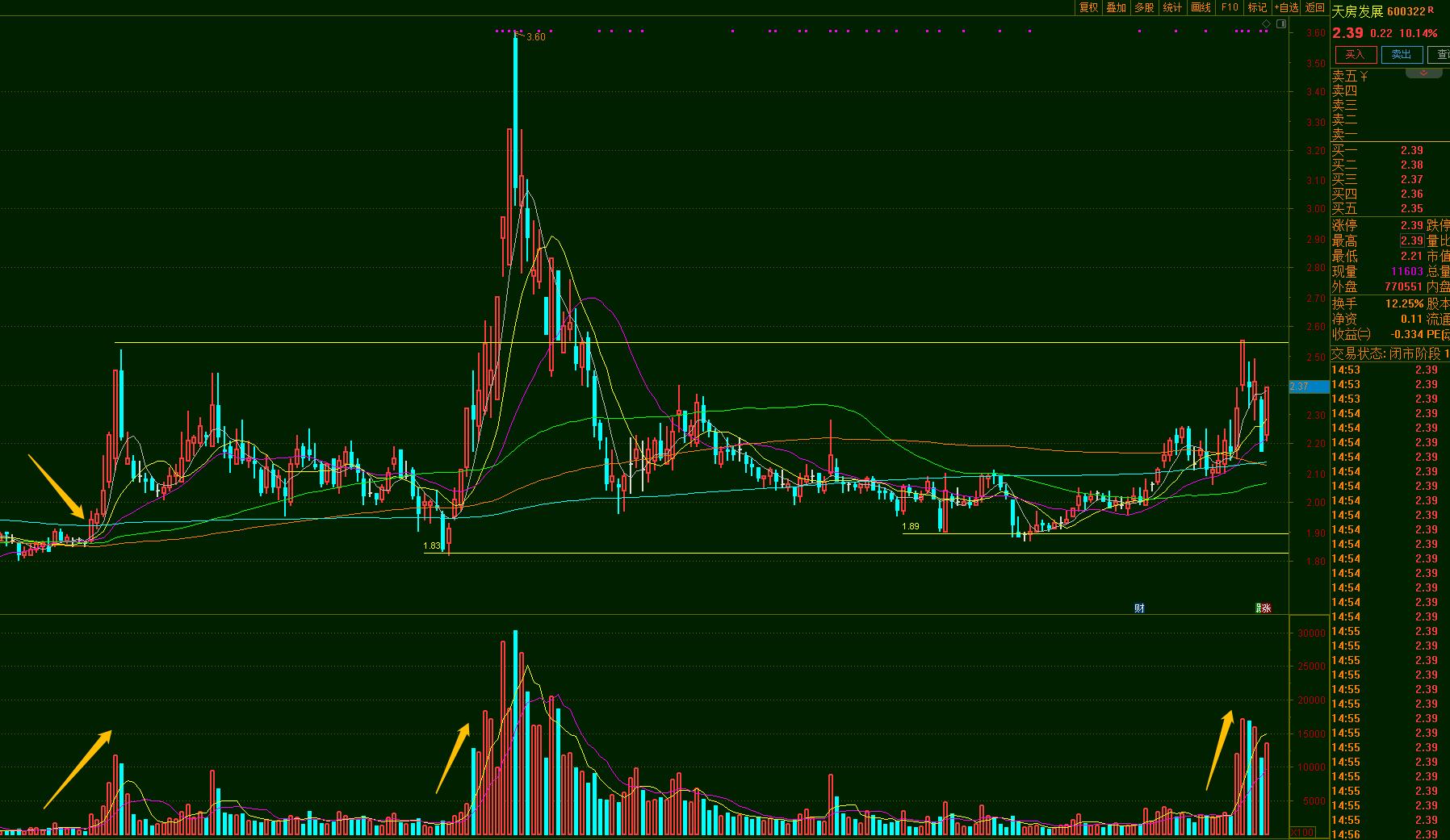 天房發(fā)展股票，投資前景深度解析，天房發(fā)展股票投資前景深度剖析