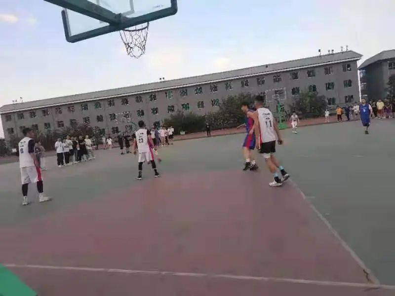 澳門二四六天下彩天天免費大全——全面解析澳門彩票文化，澳門彩票文化全面解析，二四六天下彩免費大全