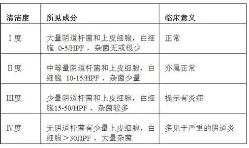 滴蟲(chóng)與霉菌，哪個(gè)更嚴(yán)重？深入了解兩者的差異與影響，滴蟲(chóng)與霉菌，哪個(gè)更嚴(yán)重？差異與影響深度解析