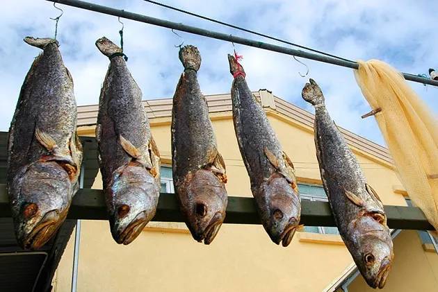 中國(guó)一級(jí)致癌魚(yú)排名及其健康風(fēng)險(xiǎn)分析，中國(guó)致癌魚(yú)排名及健康風(fēng)險(xiǎn)解析