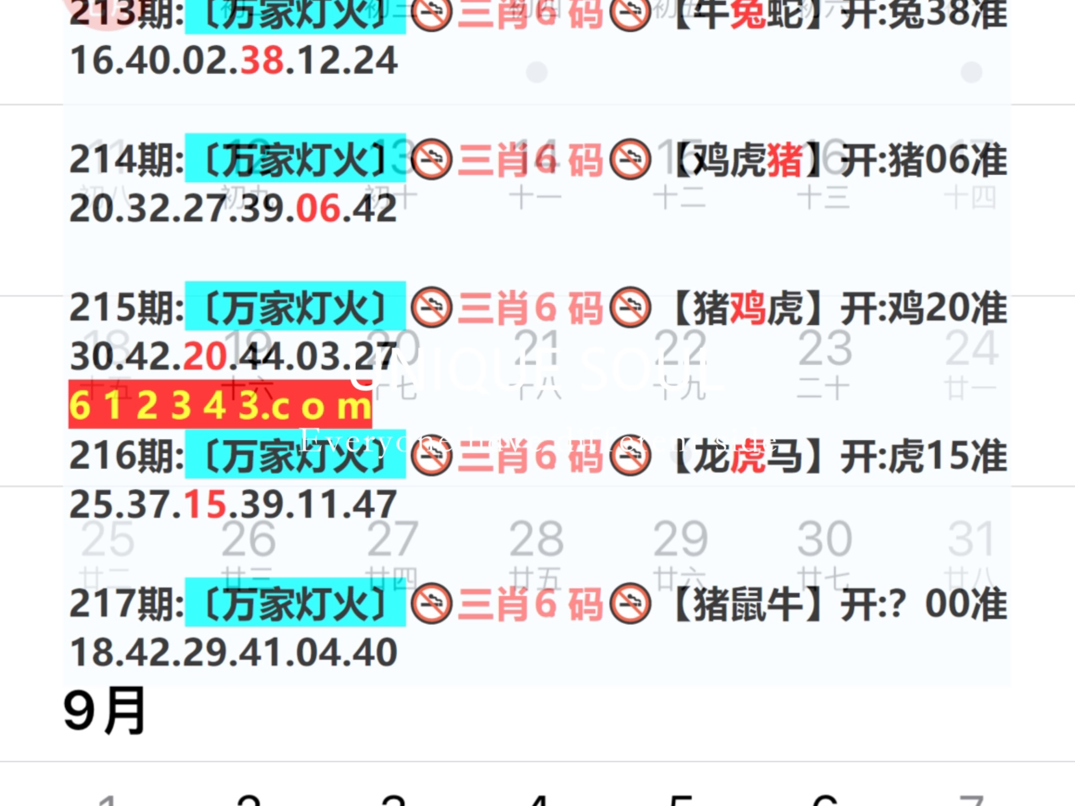 新澳門(mén)期期免費(fèi)資料——探索澳門(mén)博彩文化的深度與廣度，澳門(mén)博彩文化深度與廣度探索，新澳門(mén)期期免費(fèi)資料揭秘