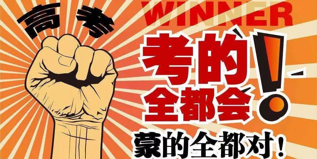 揭秘王中王與肖的不同之處，深度解析第123期，揭秘王中王與肖差異深度解析第123期，獨(dú)家對(duì)比與解讀