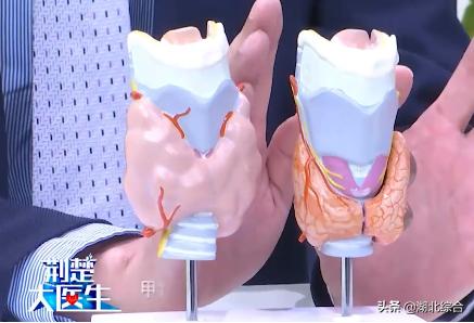 甲減的癥狀，深入了解甲狀腺功能減低的常見(jiàn)表現(xiàn)，深入了解甲狀腺功能減退的癥狀表現(xiàn)，甲減的征兆與常見(jiàn)表現(xiàn)