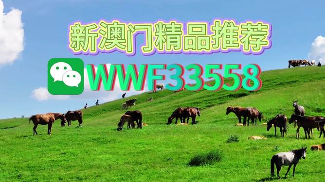 揭秘精準(zhǔn)預(yù)測一肖的秘密，解碼77777與88888的神秘?cái)?shù)字組合，揭秘精準(zhǔn)預(yù)測生肖的秘密，數(shù)字組合77777與88888的神秘解碼