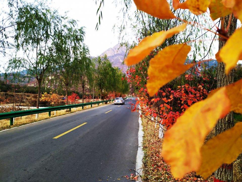 秦皇島自駕游旅游攻略，秦皇島自駕游全攻略，暢游海濱城市的必備指南