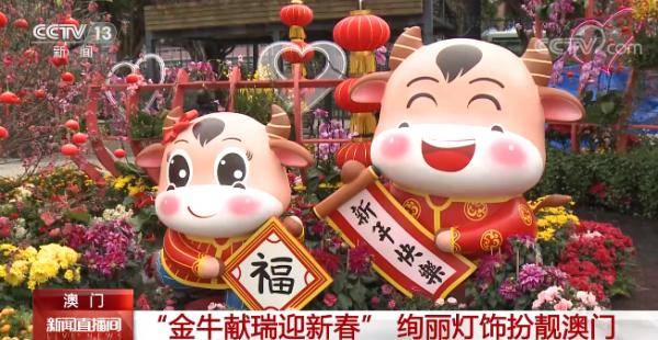 澳門金牛網(wǎng)金牛版論壇——探索與解析，澳門金牛網(wǎng)金牛版論壇，深度探索與解析