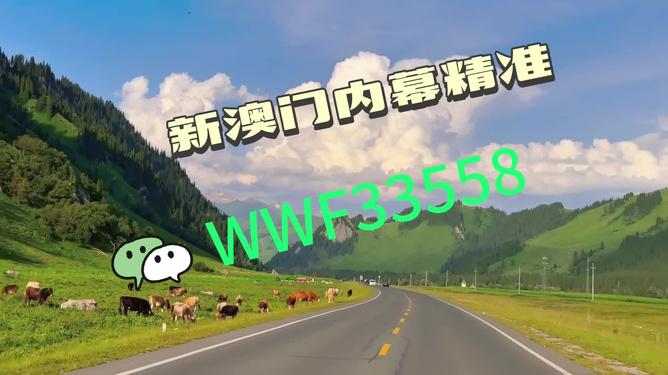王中王一肖一馬中特一，探尋背后的秘密與獨(dú)特之處，探尋王中王一肖一馬中特一背后的獨(dú)特秘密
