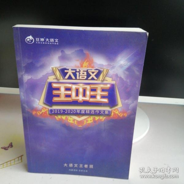 揭秘2019王中王資料一肖，傳奇背后的故事，揭秘傳奇背后的故事，王中王資料一肖探秘（2019版）