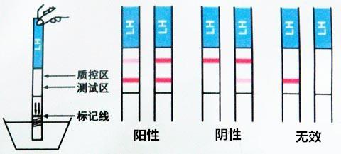 例假過后幾天容易懷孕——備孕期的最佳時機解析，例假期過后幾天最易受孕，備孕期最佳時機詳解